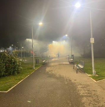 Chiajna: Luni încep acțiuni de dezinsecție împotriva larvelor de insecte