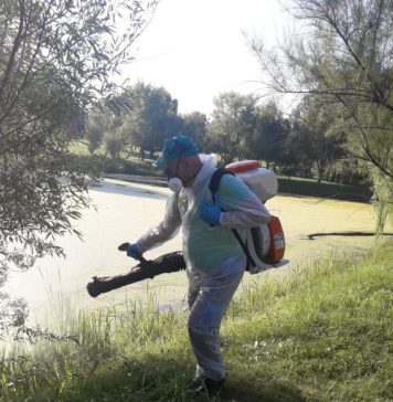 Compania Municipală Eco Igienizare a început al doilea tratament de combatere a larvelor de țânțari