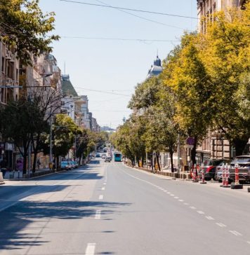 97 de arbori tineri vor fi plantați pe Bd. Regina Elisabeta, în cadrul proiectului Coroană Verde pentru Regina Elisabeta