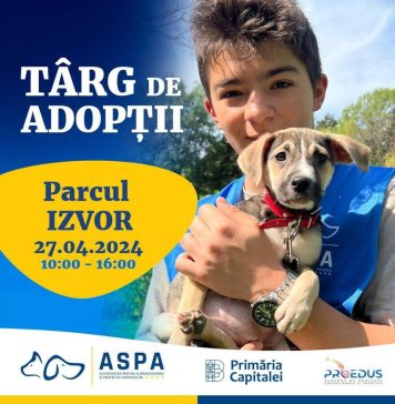 Nicușor Dan invită bucureștenii să adopte câini, la un târg din Parcul Izvor