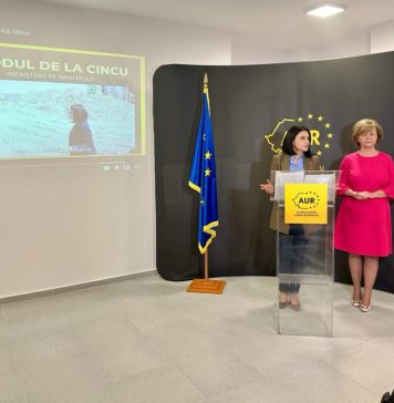 VIDEO/ Ana Loredana Predescu: Podul de la Voila-Cincu reprezintă un alt episod din „Brașov-județul marilor proiecte” abandonate