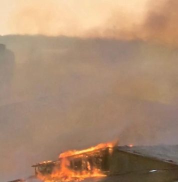 Candidata AUR, Ioana Ramona Bruynseels, transmite solidaritate în fața incendiului din Chitila