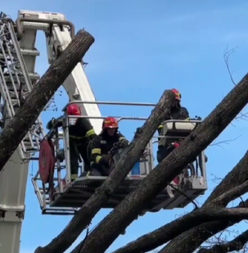Peste 100 de copaci și 9 stâlpi căzuți în Capitală, în urma codului portocaliu de vânt