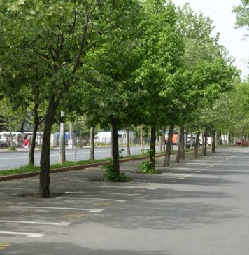 O nouă parcare de tip park&ride în estul Bucureştiului, cu 500 de locuri