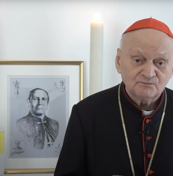 Creativity of reason and technical progress, including artificial intelligence, used ethically, says Cardinal Lucian