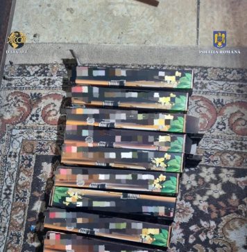 Bărbat reţinut după ce ar fi cultivat canabis într-un apartament din Capitală