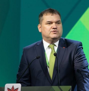 Cseke Attila: Guvernul insistă în încurajarea traseismului politic