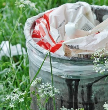 Noi norme UE pentru a reduce, refolosi și recicla ambalajele/ Anumite tipuri de ambalaje din plastic de unică folosinţă vor fi interzise din anul 2030