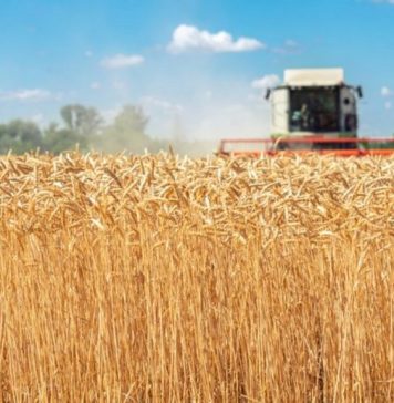 Europe’s largest agricultural produce transshipment terminal set up under EUR10 million project