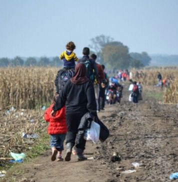 Several migrants, found stashed in truck-driven corn at western border