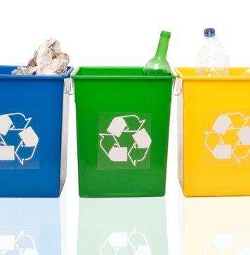 Salubrizare 5: Colectarea selectivă, un pas important în direcția unei gestionări mai eficiente a deșeurilor