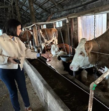 Ana Loredana Predescu (AUR): Micii producători trebuie ajutați! Este un deziderat care ține de siguranța alimentară a țării noastre!