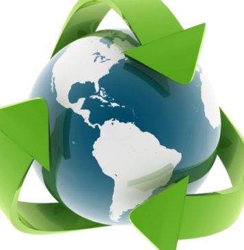 Salubrizare 5: ”Orice pas mic în direcția reciclării contează și poate avea un impact semnificativ asupra mediului”