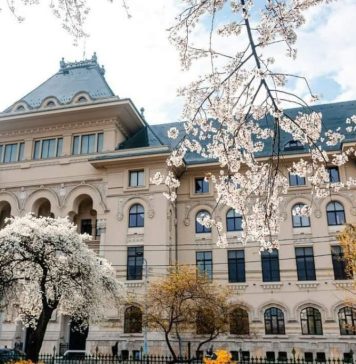 3 milioane de lei – finanţări nerambursabile pentru desfăşurarea unor activităţi nonprofit de interes local