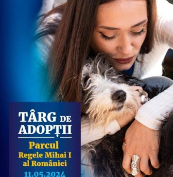 Un nou târg de adopții pentru câini va avea loc în Parcul Regele Mihai I