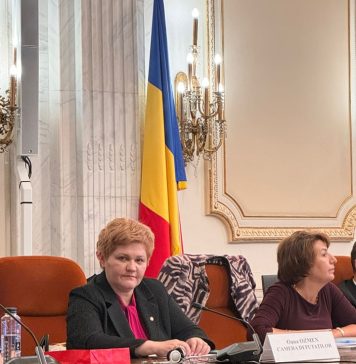 Oana Marciana Ozmen (PNL): Accesarea fondurilor europene disponibile pentru producția de hidrogen, investițiile în capacități de stocare trebuie să fie insoțite de date statistice