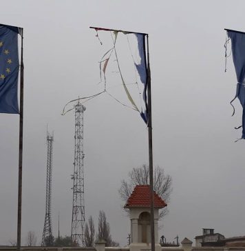 „În cele două mandate de președinte ale lui Băsescu, omul direct al Securității, și cele două mandate care au urmat ale lui Iohannis am asistat neputincioși la instalarea Triplei Dictaturi în România: NATO, UE și deja eterna și fascinanta Securitate”, scrie analistul politic Petru Romoşan