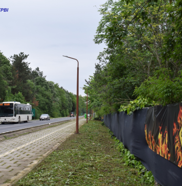 Linia 447 – suplimentată pentru Festivalul GRILLFEST din Snagov