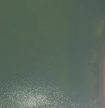 Sectorul 2 anunţă concurs de soluţii pentru amenajarea coridorului verde Colentina, de-a lungul a şase lacuri