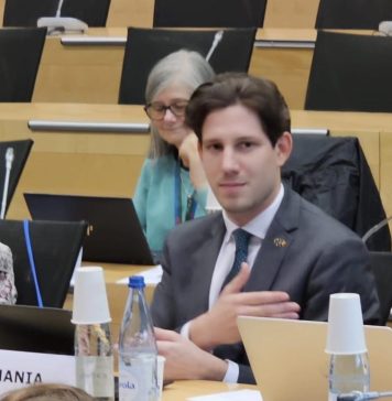 Președintele ANPDCA, ales membru în Comitetul Director pentru Drepturile Copilului al Consiliului Europei