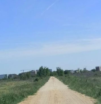 Clotilde Armand acuză majoritatea din Consiliul Local Sector 1 că blochează modernizarea a 140 de străzi