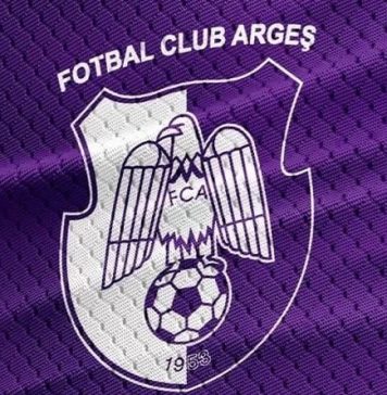Fotbal: Dănuţ Coman, preşedinte al clubului FC Argeş
