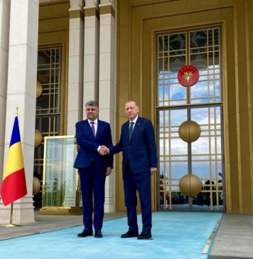 Guvernul adoptă un Memorandum privind reluarea exporturilor și tranzitului cu carne și animale vii în Turcia