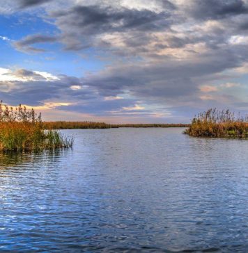 Danube Delta voted 2024 Travel Destination in Eco-tourist Regions category