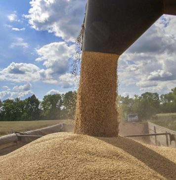 Largest grain transshipment terminal in Europe inaugurated in Dornesti, Suceava County