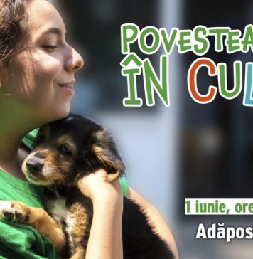 1 iunie la Adăpostul Speranța: Căsuțele câinilor, pictate de copiii de la Galeria Romniceanu