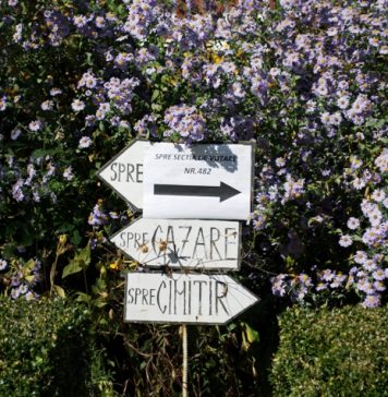 „Ciucă le-a spus liberalilor că el, un urmaş al Brătienilor, urmăreşte Las Fierbinţi a doua oară, Ciolacu e într-un coșmar, prins între partid, guvern şi proteste promite oricât oricui doar ca să scape dintr-un vis urât, Simion e într-o reverie cu voievozi, a plecat în turneu prin țară cu Ștefan, Vlad, Mircea și Mihai, noii lui prieteni (imaginari), iar de cei trei somnambuli, Drulă, Orban şi Tomac, efectiv nu se mai știe nimic de la începutul campaniei”, scrie jurnalistul Ionuţ Cristache