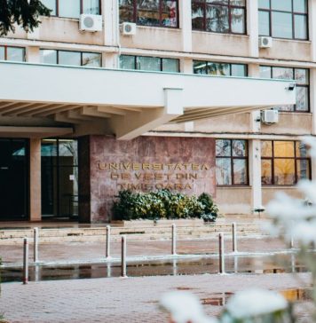 University of West Timisoara, sixth Romanian university featured on RUR 2024 rankings