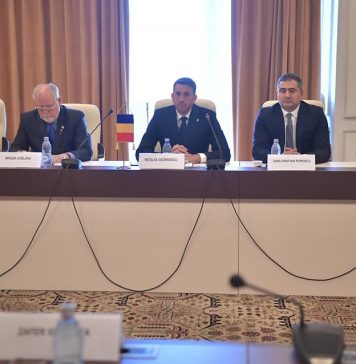 Oana Marciana Ozmen (PNL), întâlnire cu o delegație condusă de domnul Zafer Sırakaya, Membru al Comisiei pentru politică externă din cadrul Marii Adunări Naționale a Republicii Turcia