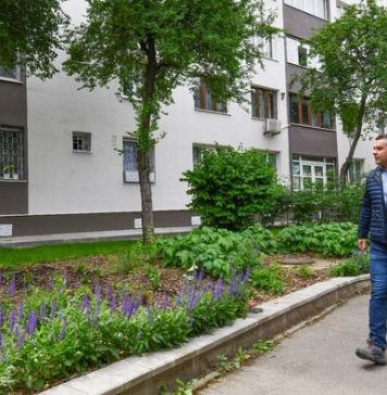 Primăria Sectorului 6, apel către cetățeni: ”Sesizați actele de vandalism asupra spațiului verde. Peste 1.000 de fire de flori au fost smulse din pământ din primăvară și până acum”