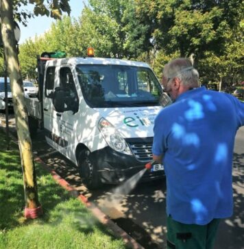 A început un nou tratament de dezinsecție împotriva țânțarilor, în București