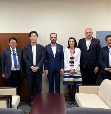 Mihai Precup, President of AMEPIP, met in Tokyo with a working group of the Global Business Investment Support Office, part of the Cabinet Secretariat of the Government of Japan