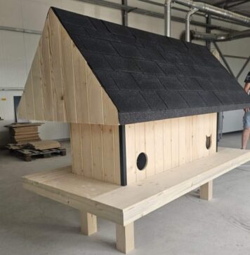 Primăria Sectorului 6 finanțează construcția a zece căsuțe pentru pisici