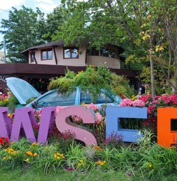 Peste 150.000 de oameni în trei zile, la West Side Flower Fest! Cel mai mare festival al florilor din România, în cifre