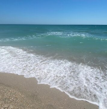 Ministrul Mircea Fechet susține că apa Mării Negre e sigură pentru cei care fac baie