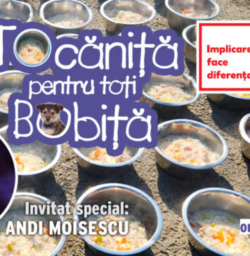 Andi Moisescu va găti pentru câinii Adăpostului Speranța alături de voluntarii Kaufland România