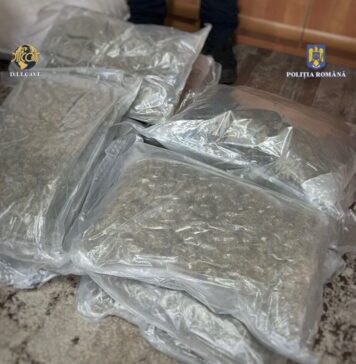 Peste 21 de kilograme de droguri, descoperite de polițiști și procurori
