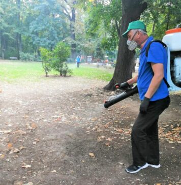 Gândacii și țânțarii se înmulțesc mai repede din cauza temperaturilor foarte ridicate, iar insecticidele nu mai au efect