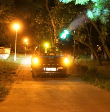 Tratamente suplimentare în București de combatere a țânțarilor adulți