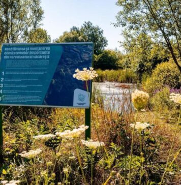 Se fac lucrări de modernizare și reabilitare în Parcul Natural Văcărești, anunță PMB