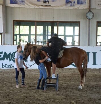 C𝗼𝗽𝗶𝗶𝗶 𝗱𝗶𝗻 𝗜𝗹𝗳𝗼𝘃 𝗮𝘂 𝗱𝗲𝘀𝗰𝗵𝗶𝘀 𝗽𝗼𝗿𝘁̦𝗶𝗹𝗲 𝗦̦𝗰𝗼𝗹𝗶𝗶 𝗱𝗲 𝗩𝗮𝗿𝗮̆, ,,𝗧𝗮𝗯𝗮̆𝗿𝗮 𝗱𝗲 𝗮𝗿𝘁𝗲” – 𝗣𝗲 𝗦̦𝗮 𝘀̦𝗶 𝗶̂𝗻 𝗚𝗮𝗹𝗲𝗿𝗶𝗲