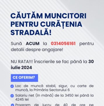 Primăria Sectorului 6 angajează muncitori pentru curățenia stradală