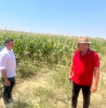 Daniel Gheba (AUR): Comuna Călărași și Primarul Sorin Sandu – O Forță în Agricultura Județului Dolj