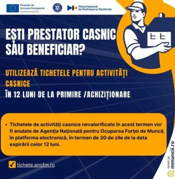 Ministerul Muncii: Tichetele de activităţi casnice pot fi utilizate sau valorificate în termen de 12 luni de la achiziţionare