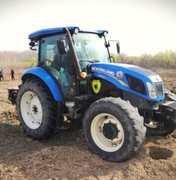 Romsilva a plantat circa 22 milioane de puieți forestieri în campania de împăduriri de primăvară