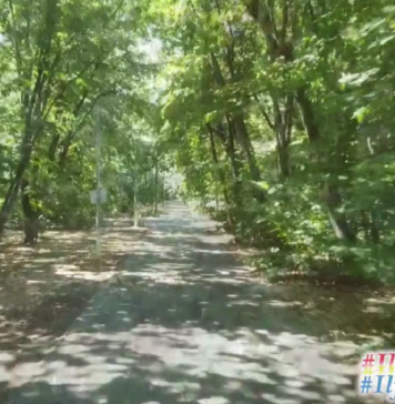 Ce planuri aveți pentru acest weekend? CJ Ilfov vă invită la o plimbare răcoroasă prin Pădurea Pustnicu